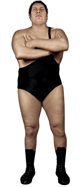 Andre The Giant - The Official Licensing Website of Andre The Giant